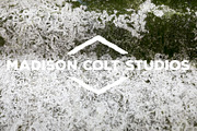 50 Rusty Metal Textures - Vol 2, a Texture Graphic by Madison Colt Studios (Thumbnail 5 of 51)