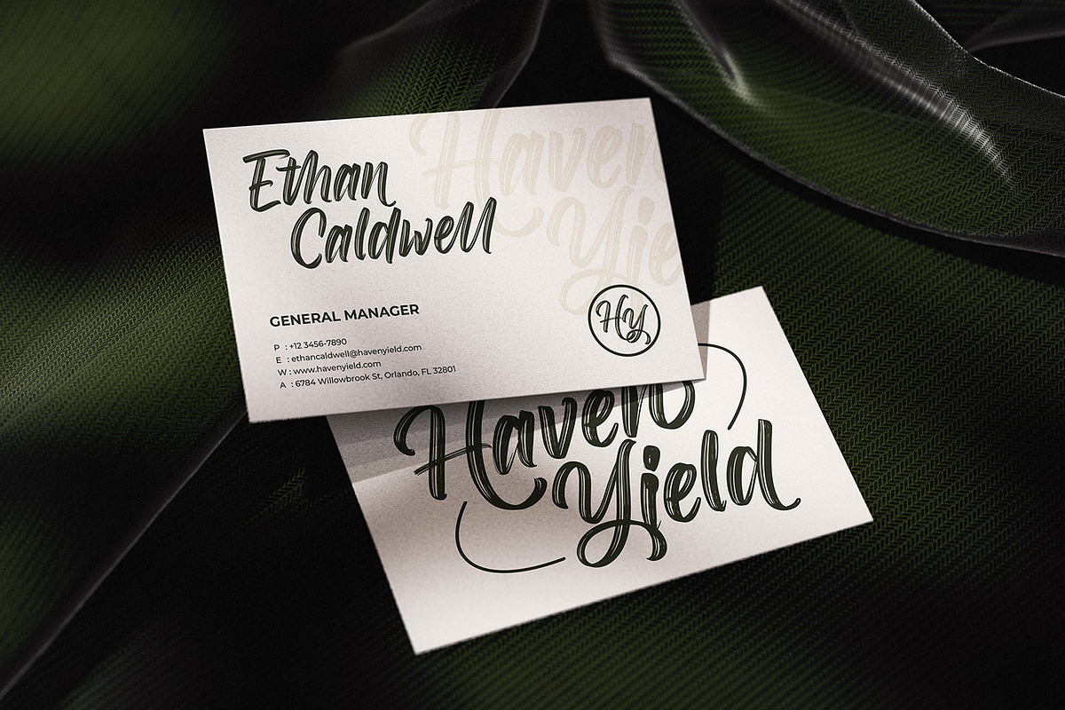 Roselight Brush, a Script Font by din-studio.com (Photo 5 of 16)