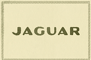 Jaguar, a Sans Serif Font by By Meg Burk (Thumbnail 2 of 4)