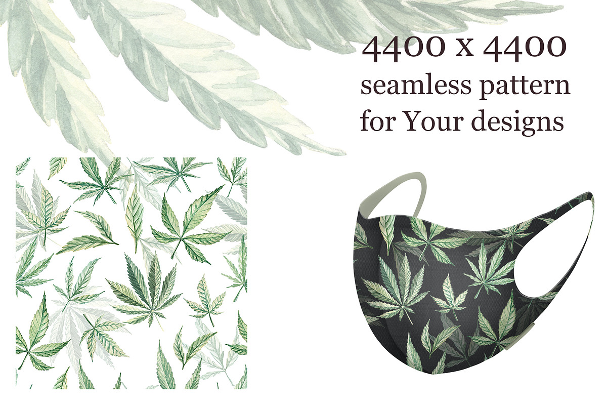 Marijuana leaves, an Object Graphic by Dashamoony (Photo 3 of 3)