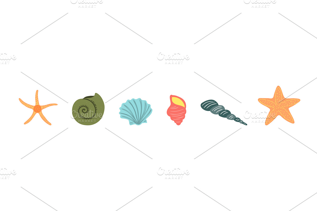 Seashell, starfish illustration, an Animal Illustration by sceptical cactus