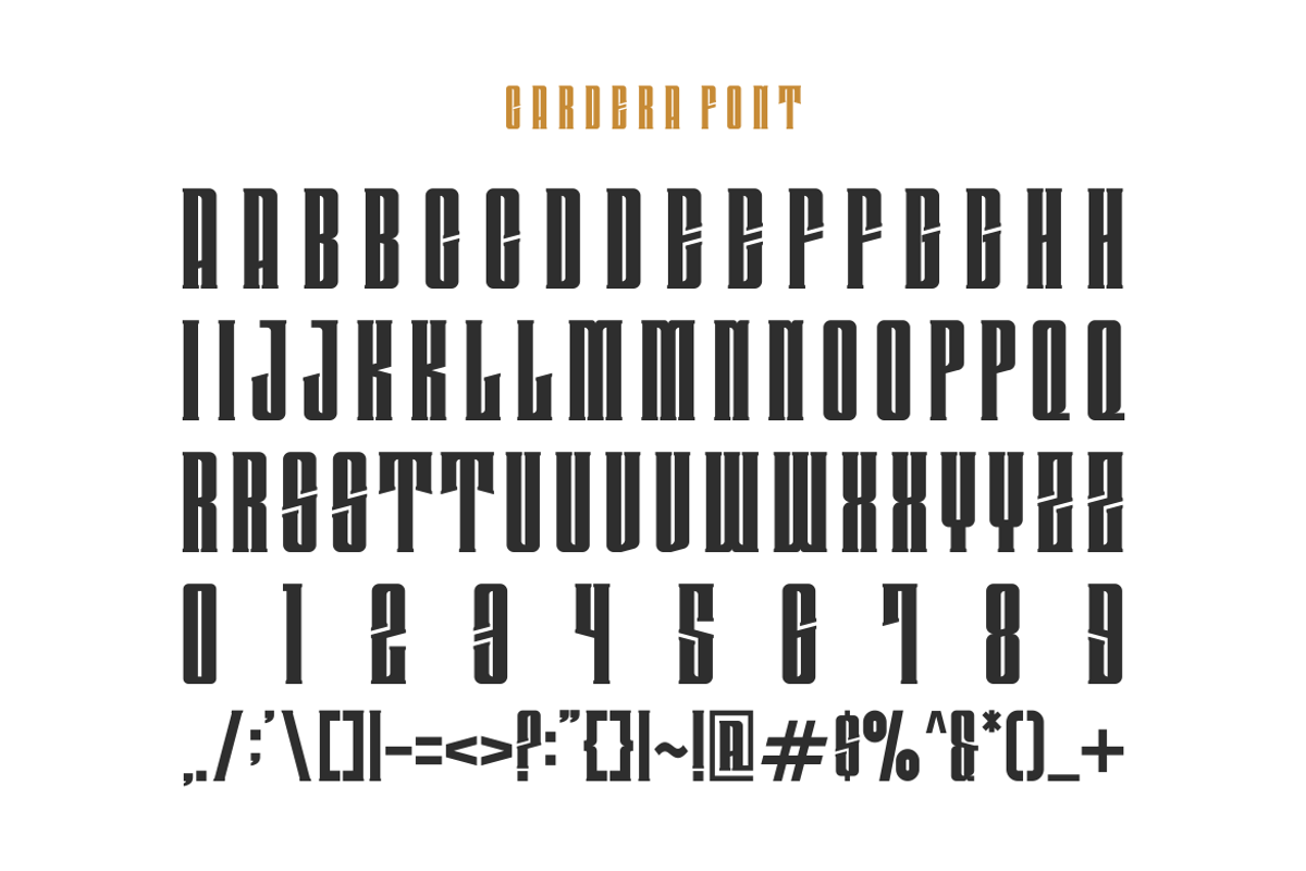 Cardera - Modern Tall Font, a Slab Serif Font by Viswal Studio (Photo 5 of 6)