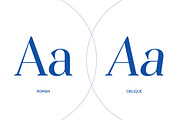 Evoritha, a Serif Font by Propertype (Thumbnail 4 of 16)