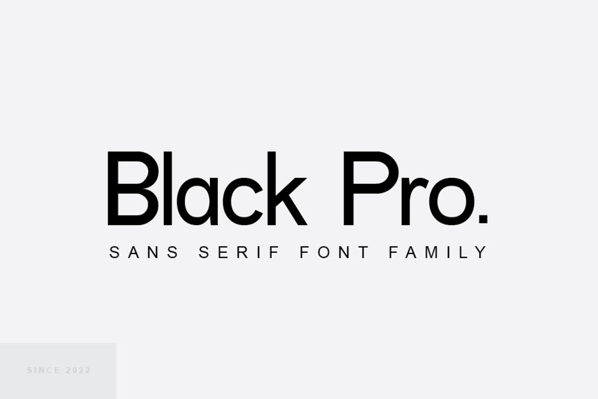 Black Pro, a Sans Serif Font by rmdndsign (Photo 1 of 6)