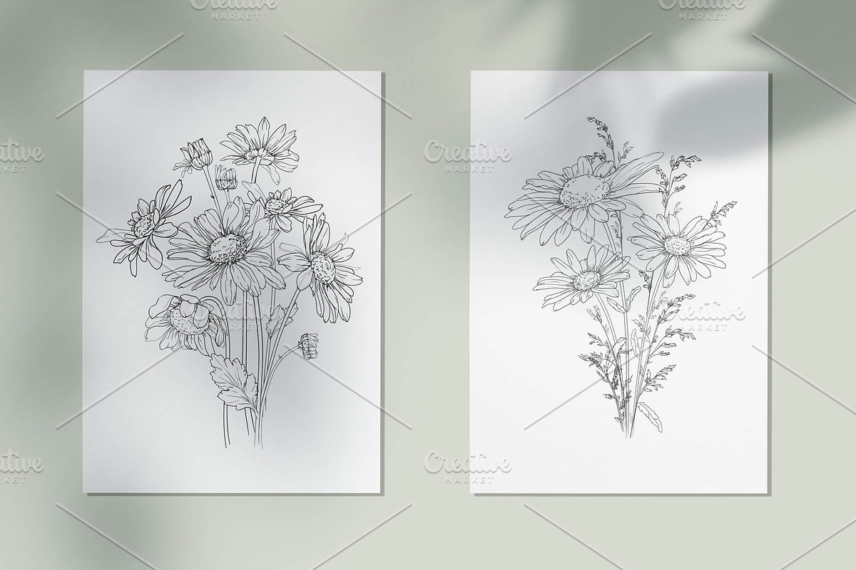Ink Vector Chamomile, a Decorative Illustration by Sweet_print (Photo 5 of 6)