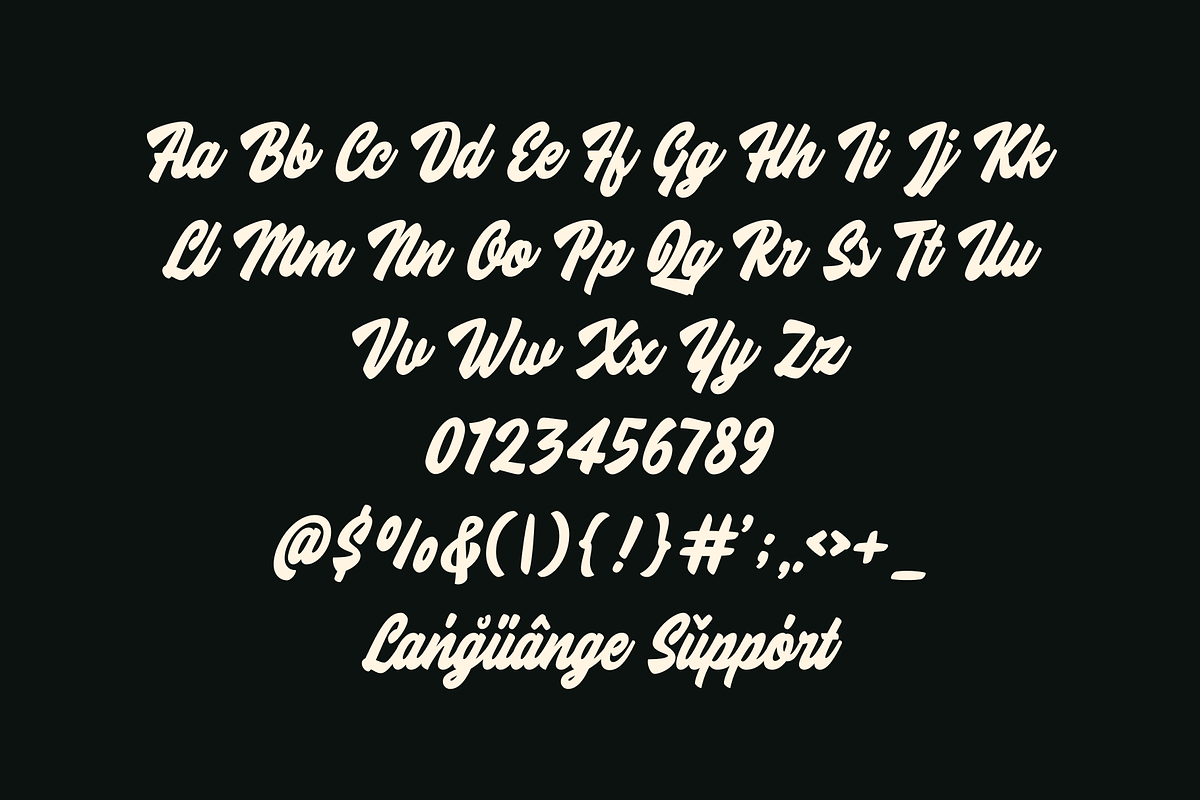 Lematins Script - Brush Font, a Script Font by Holyline Design (Photo 3 of 15)