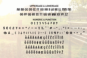 Sunshine Farmhouse | Script Font, a Script Font by Scratchones (Thumbnail 7 of 8)