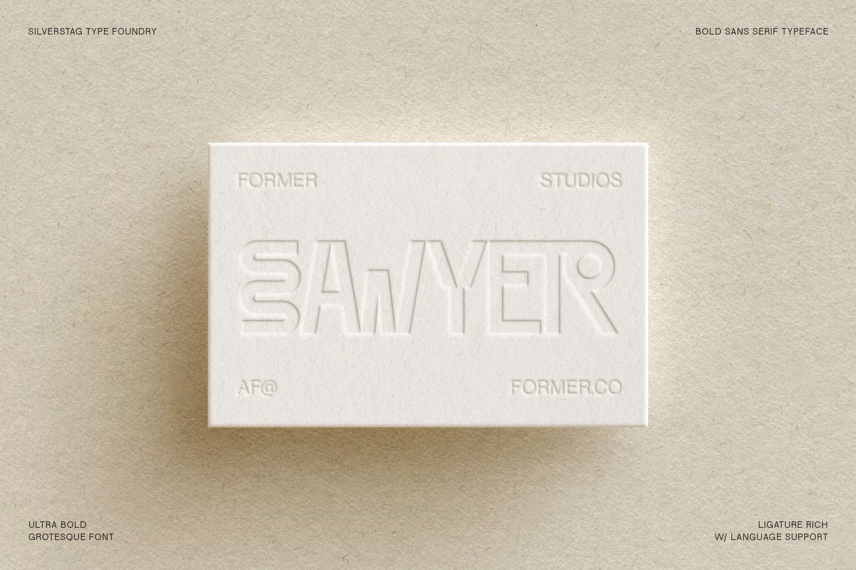 Baroque Grotesk - Ultra Bold Font, a Sans Serif Font by SilverStag Type Foundry (Photo 15 of 20)