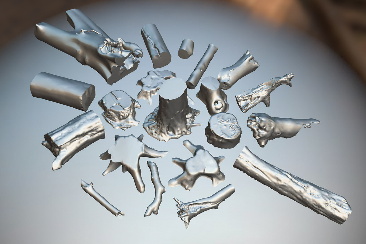 Forest Elements, an Environmental 3D Model by Beatheart Creative Studio (Photo 17 of 25)
