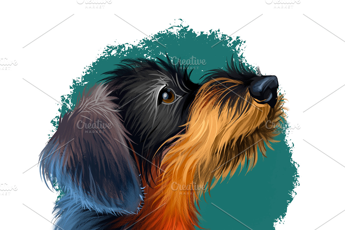 Most Popular Dog Breeds Pet Portrait, an Animal Illustration by Dneprstock (Photo 11 of 23)