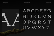 GC Volumn - Elegant Serif Typeface, a Serif Font by Glyphonic (Thumbnail 2 of 15)