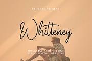 Whitteney, a Script Font by Integritype Studio (Thumbnail 1 of 15)