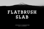 FLATBRUSH SLAB, a Slab Serif Font by SON OF THIRTEEN (Thumbnail 1 of 7)