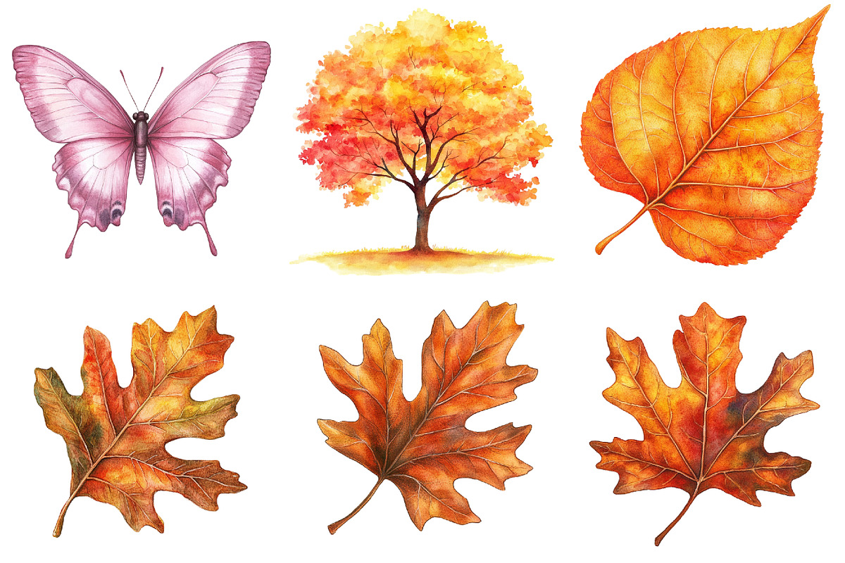 atercolor Woodland Animal PNG, an Illustration by CitraGraphics (Photo 5 of 5)