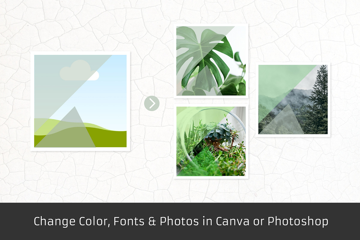 Green - 18 Instagram Templates, a Social Media Template by Annemiek van Luinen (Photo 5 of 8)