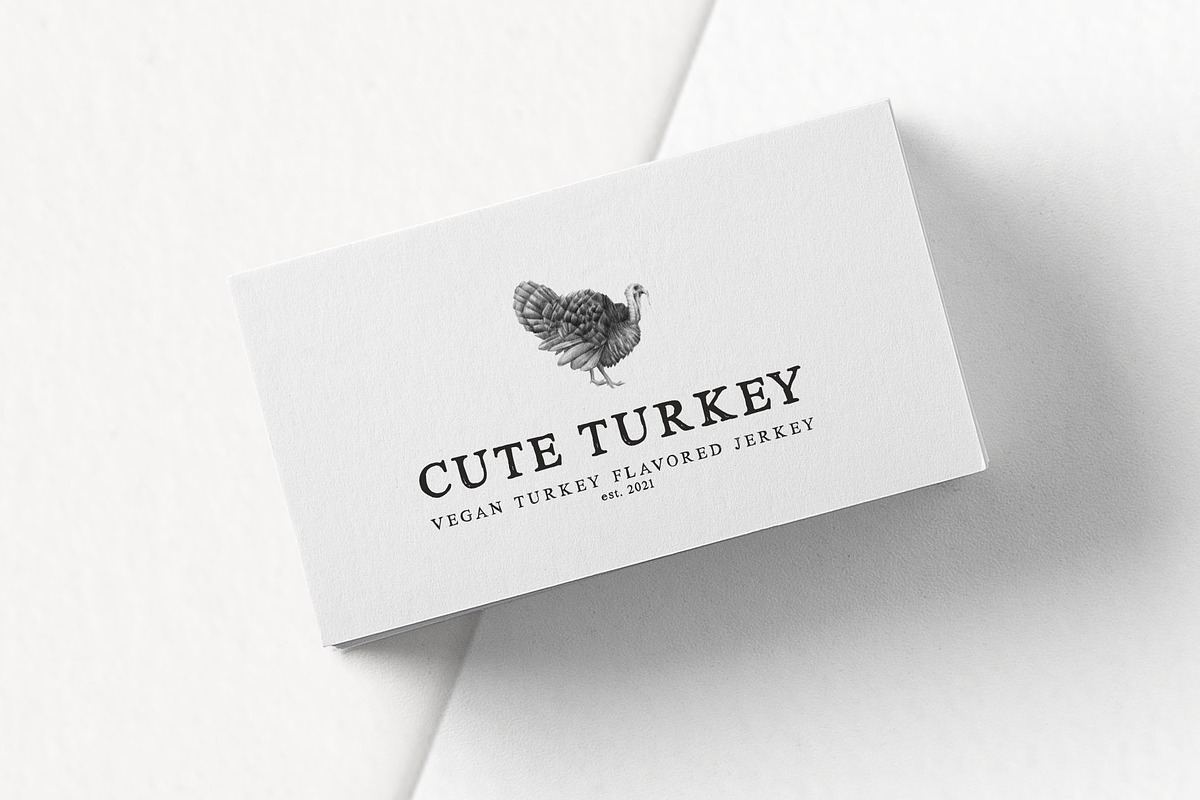 Hand drawn Turkeys Illustrations, an Animal Illustration by Greek fonts by nantia.co (Photo 5 of 6)