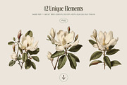 Magnolia - botanical illustrations, a Decorative Illustration by AI Crafted Magnolia (Thumbnail 4 of 11)