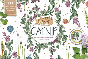 Catnip