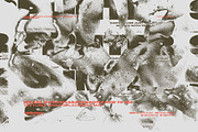 Splinter Textures Set, a Texture Graphic by nicholasasmita (Thumbnail 14 of 22)