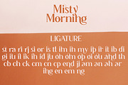 Misty Morning, a Serif Font by Funtype (Thumbnail 14 of 15)