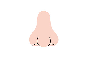Nose. Human internal organ. Vector, an Object Illustration by GraphiShop