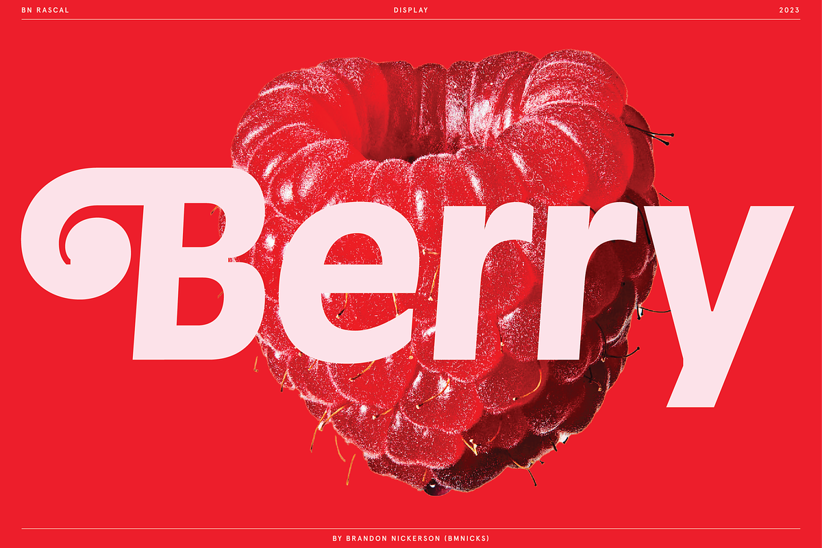 BN Rascal, a Sans Serif Font by Bnick (Photo 10 of 12)