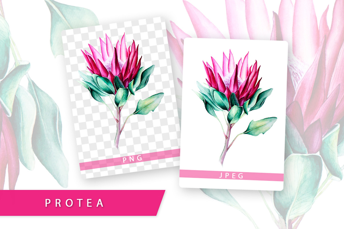5 illustrations flower color mix, a Decorative Illustration by Integrity_store (Photo 9 of 11)