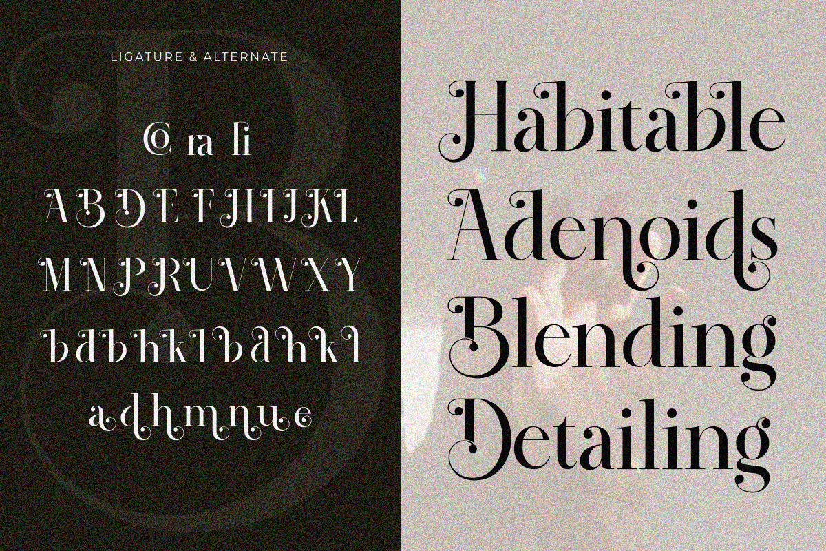 Coraline, a Serif Font by Zafiratype (Photo 12 of 12)