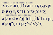 Blastula Font, a Serif Font by 177Studio (Thumbnail 5 of 7)