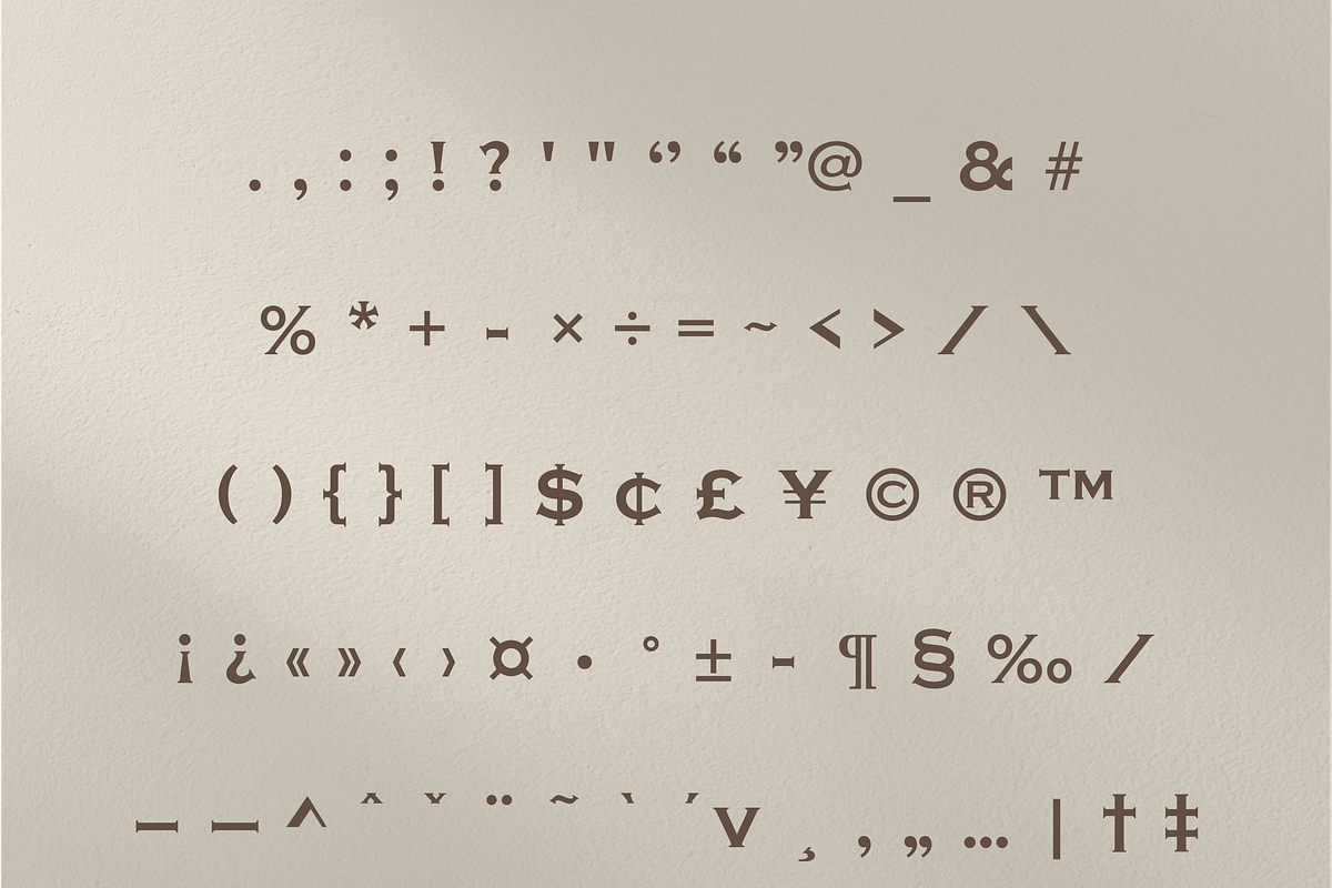 Sanir Retro Serif Font, a Serif Font by Creative Foundry (Photo 7 of 8)