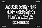 TFC Fragile Font, a Sans Serif Font by Type Flock (Thumbnail 15 of 17)