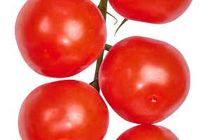 Fresh cherry tomatoes on the vine, isolated background. Juicy re, a Food & Drink Photo by ndanko