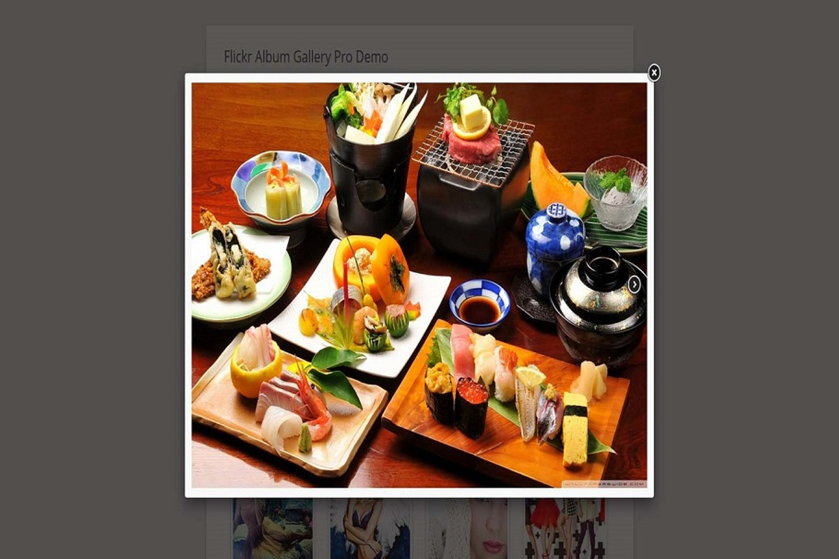 Flickr Album Gallery Pro, a Plug-in Add-On by Weblizar Themes & Plugin (Photo 3 of 5)