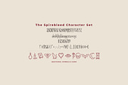 Spirebleed Gothic Botanical Font, a Serif Font by Graphic Spirit (Thumbnail 2 of 8)