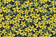 St.John's wort set, seamless pattern, a Decorative Illustration by Good Studio (Thumbnail 4 of 6)
