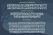 Fear Night - Scary Typeface, a Serif Font by MaikoHatta (Thumbnail 5 of 7)