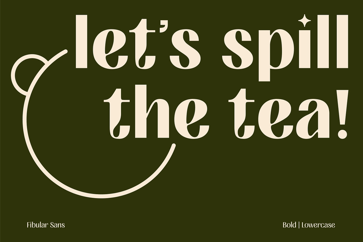 FIBULAR SANS - Variable Display Type, a Sans Serif Font by Artflorara (Photo 3 of 23)