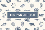 10 Hand Drawn Seashell + 5 Patterns, an Object Illustration by Storyteller Imagery (Thumbnail 2 of 7)
