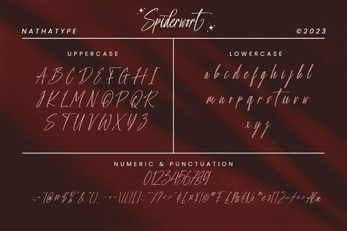 Spiderwort, a Script Font by Nathatype (Photo 6 of 8)