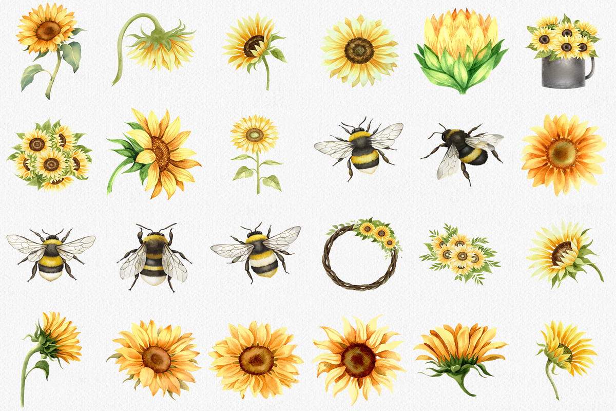 Watercolor Sunflower Clipart, 44 PNG, a Decorative Illustration by CropUp Creative (Photo 2 of 4)