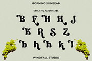Morning Sunbeam - Retro Bold Font, a Sans Serif Font by Windfall Co (Thumbnail 10 of 10)