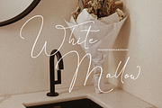 Emily Brunette - Signature Font, a Script Font by Sans & Sons (Thumbnail 2 of 9)