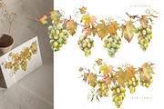 Watercolor Grapes Clipart Set, a Food Illustration by Jeanna Draw (Thumbnail 4 of 12)