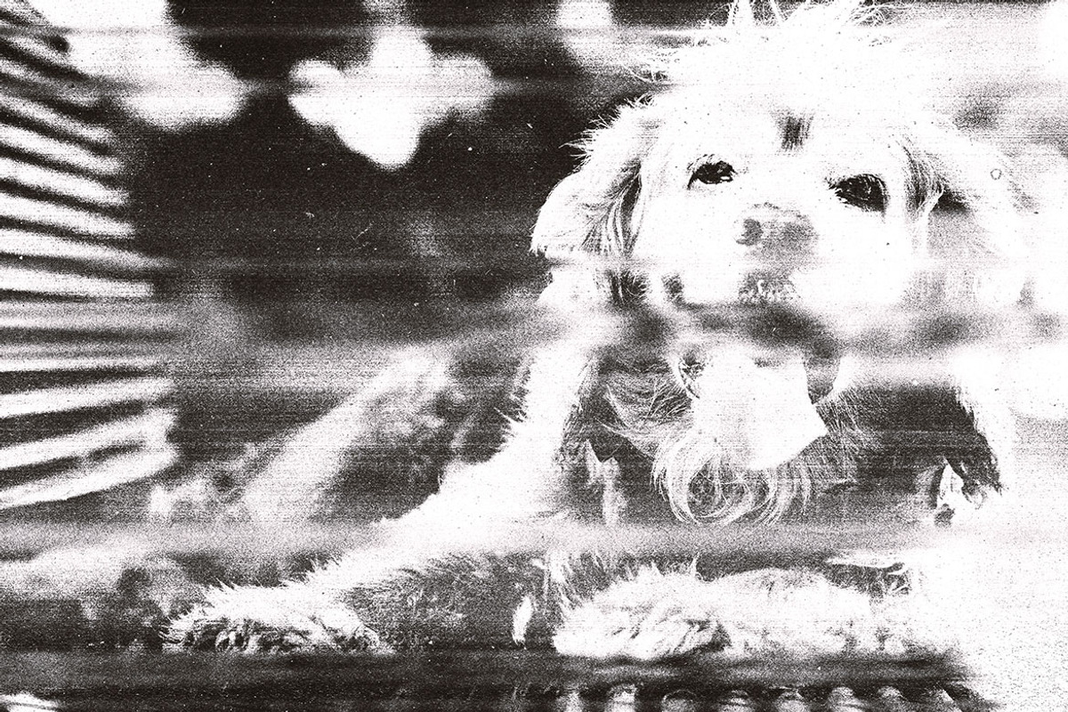 Old Scan Print, a Layer Style Add-On by dokudokunomi (Photo 3 of 5)