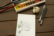 Watercolor spices vector set-1, an Illustration by miminoshka (Thumbnail 9 of 11)