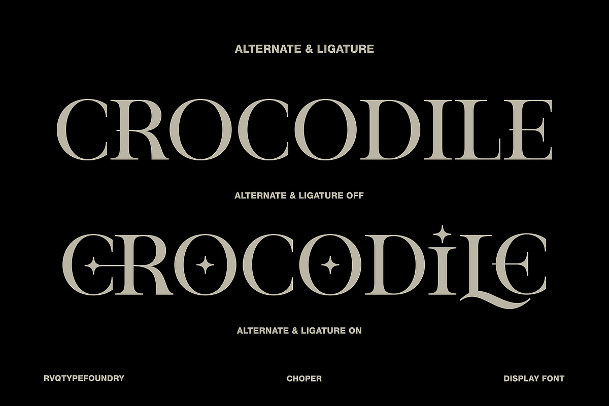 Choper Display, a Serif Font by Rvq Type Foundry (Photo 7 of 7)