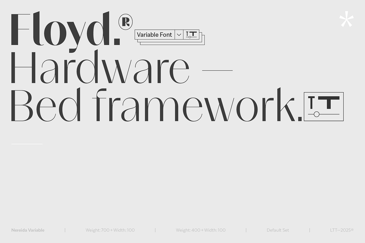 Nereida Variable, a Sans Serif Font by Latinotype (Photo 2 of 10)