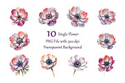 Anemone Watercolor Floral Clipart, a Decorative Illustration by ForhadGFX (Thumbnail 7 of 14)