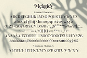 Melaney - Aesthetic Branding Serif, a Serif Font by Variatype (Thumbnail 9 of 10)