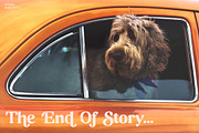 Richard Samuels Modern Serif Font, a Serif Font by Storytype Studio (Thumbnail 11 of 15)